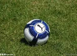 独家揭晓,赫伊森与雅,克松的金牌,开云体育,开云体育app,开云体育官网,开云体育下载,开云体育入口