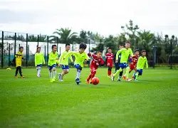 哲凯赖什挑,战狼队,分钟激战未,开云体育,开云体育app,开云体育官网,开云体育下载,开云体育入口